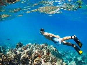 Great Barrier Reef is #1 in the World to Visit | Adagold Luxe | Jetcentric