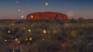 Experience the Field of Light at Uluru