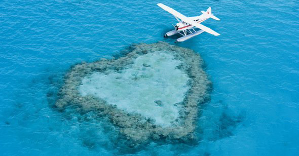 Seaplane Floating Above Heart Reef