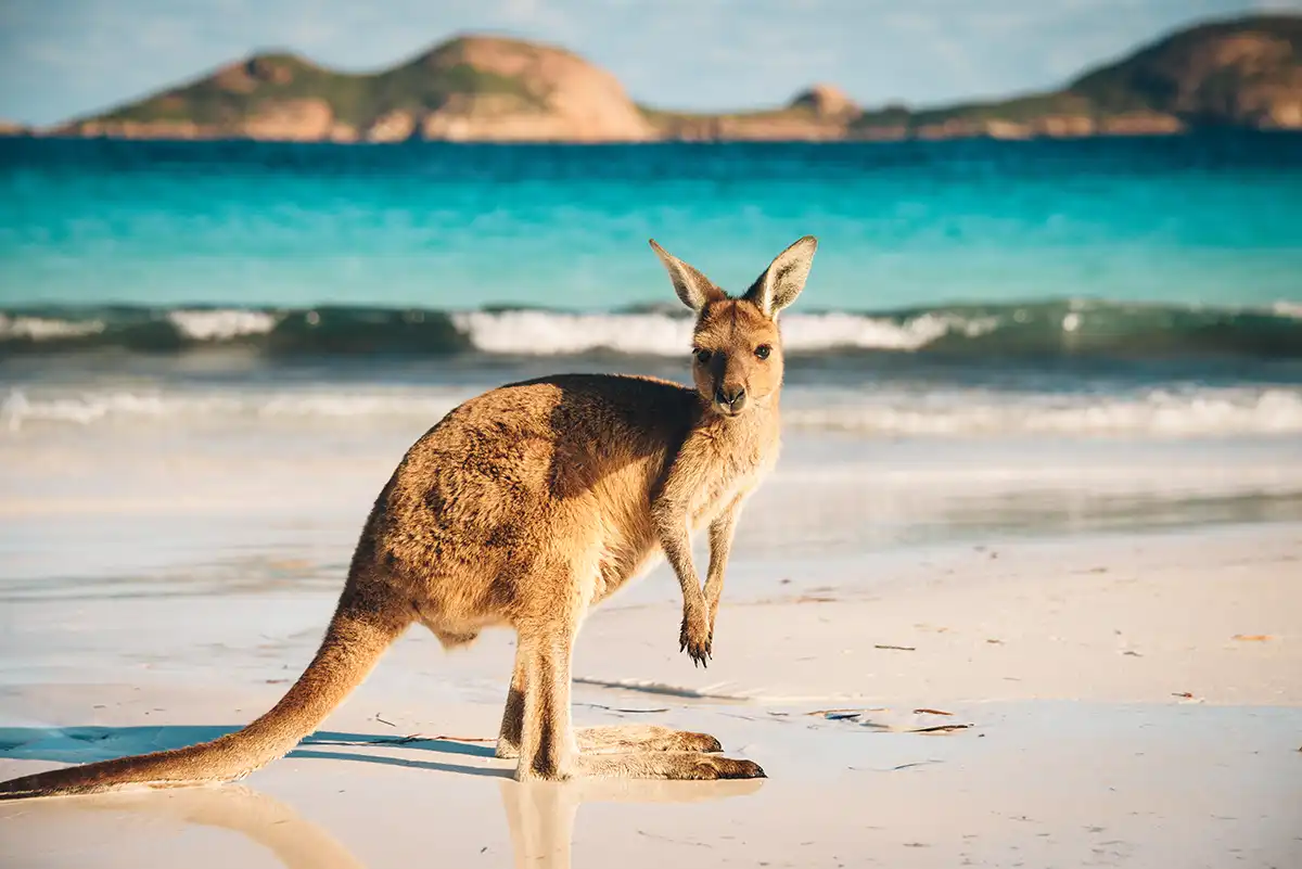 Why You Should Fly London To Australia Using Private Jet Charter