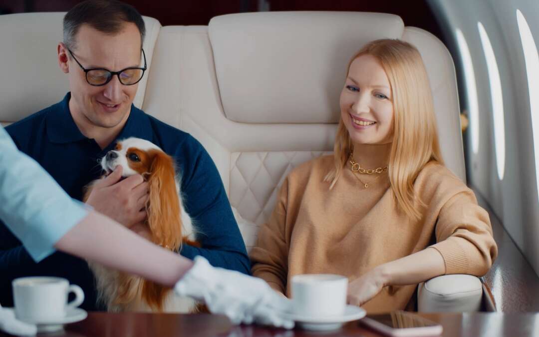 How Charter Flights Make Travelling with Pets Effortless